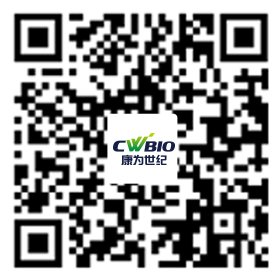 菠菜担保评级网址|最具权威维权担保平台|信用菠菜额度担保网-海博网