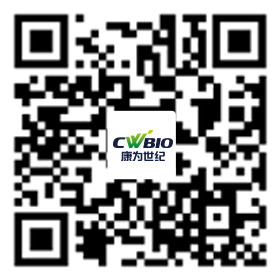 菠菜担保评级网址|最具权威维权担保平台|信用菠菜额度担保网-海博网