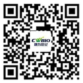 菠菜担保评级网址|最具权威维权担保平台|信用菠菜额度担保网-海博网