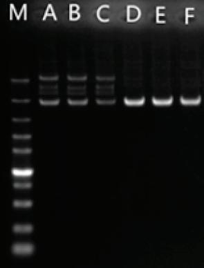 菠菜担保评级网址|最具权威维权担保平台|信用菠菜额度担保网-海博网